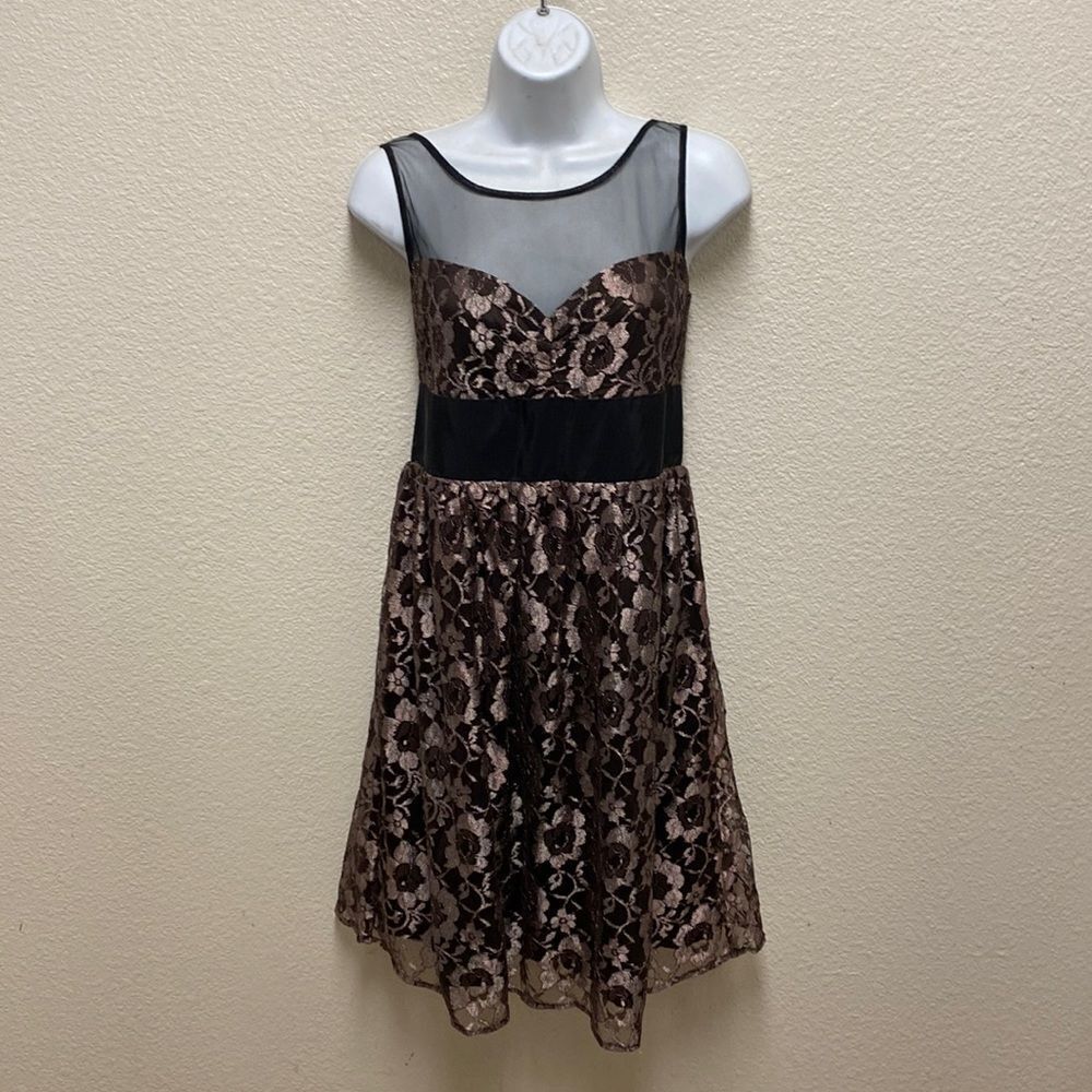 Anthropologie Plenty Tracy Reese Shimmer Lace Dress Size 10